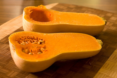 Waltham Butternut Squash • قرع والثام - plantnmore