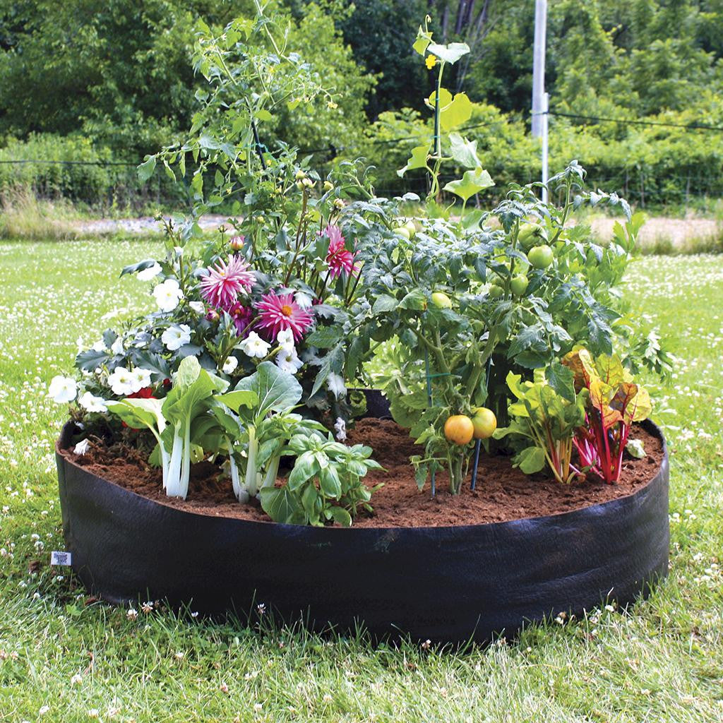 Fabric Raised Bed 50 gallon ●  حوض ريزد بد ٥٠ غالون - plantnmore