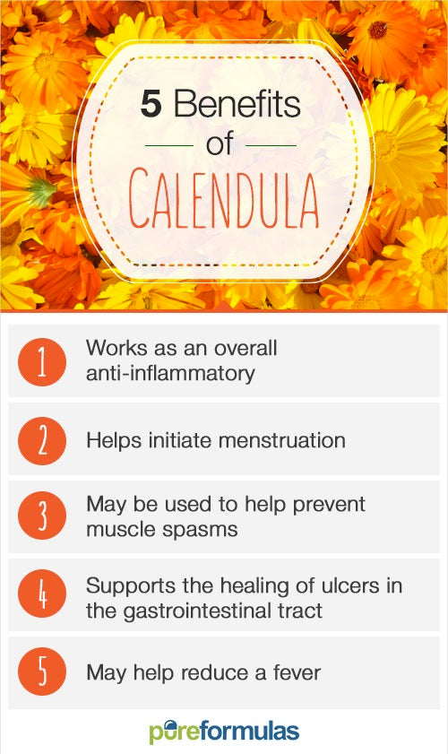 Calendula Pacific Beauty Mixture  • زهرة كالاندولا بديلة الزعفران - plantnmore