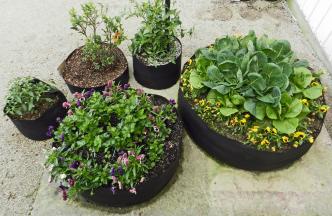 Fabric Raised Bed 100 gallon ● حوض ريزد بد ١٠٠ غالون - plantnmore