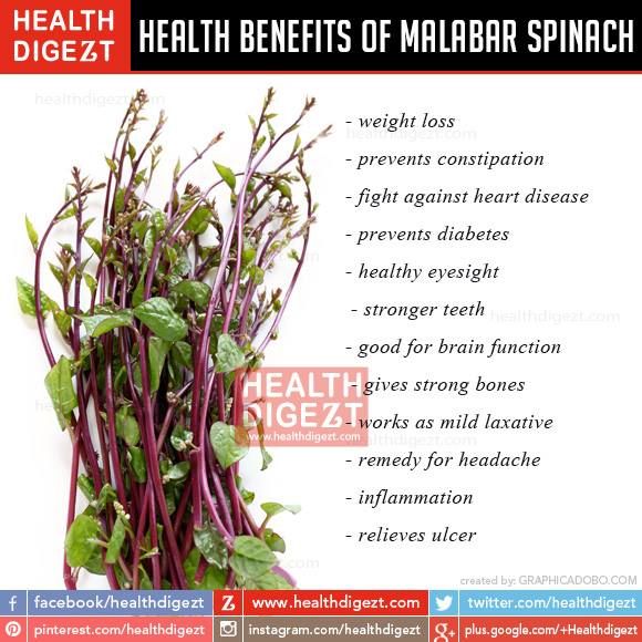 Red Malabar Spinach • سبانخ مالابار أحمر - plantnmore