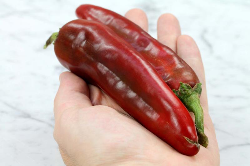 Anaheim Chili Pepper • فلفل اناهايم - plantnmore