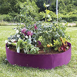 Purple Raised Bed 50 gallon ●  حوض ريزد بد ٥٠ غالون - plantnmore