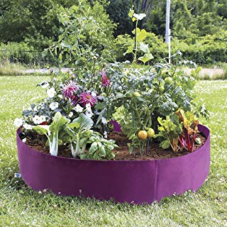 Purple Raised Bed 50 gallon ●  حوض ريزد بد ٥٠ غالون - plantnmore