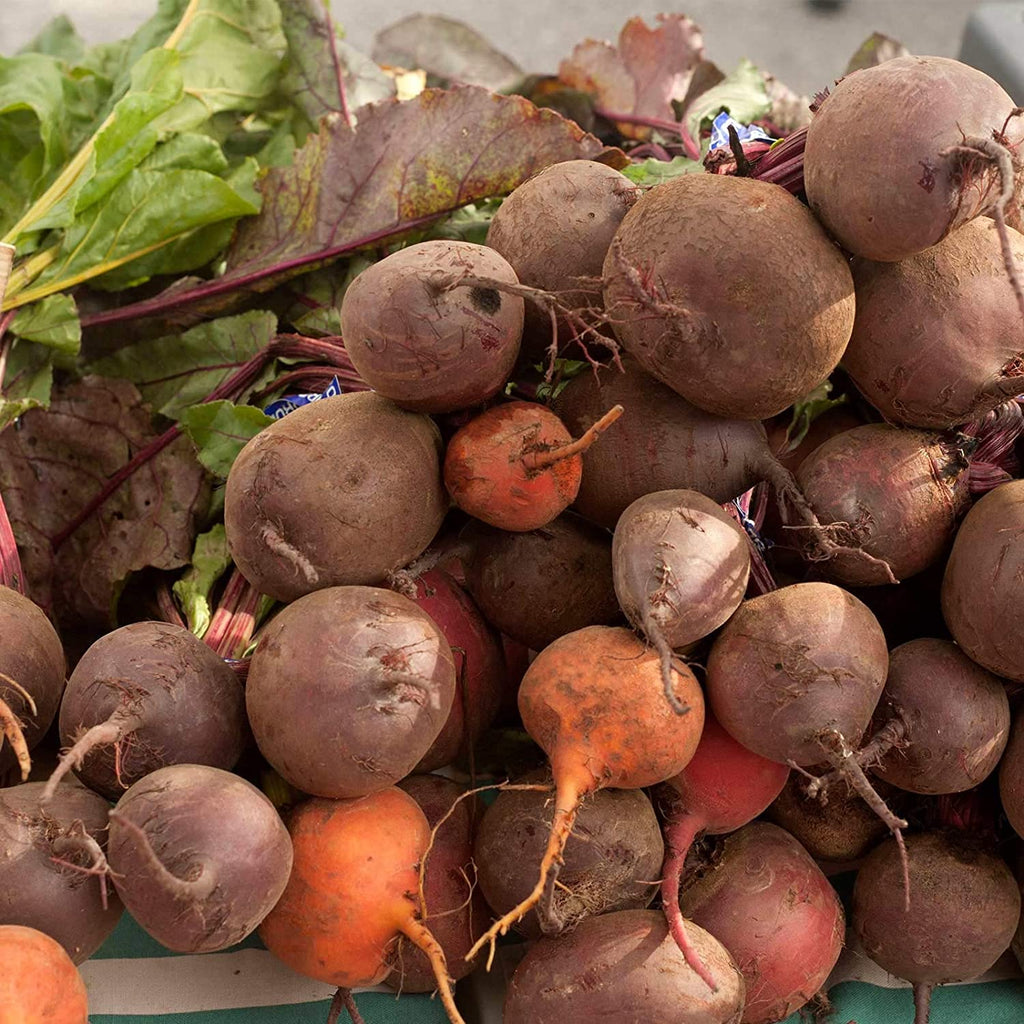 Beetroot Mix  خلطة شمندر - plantnmore