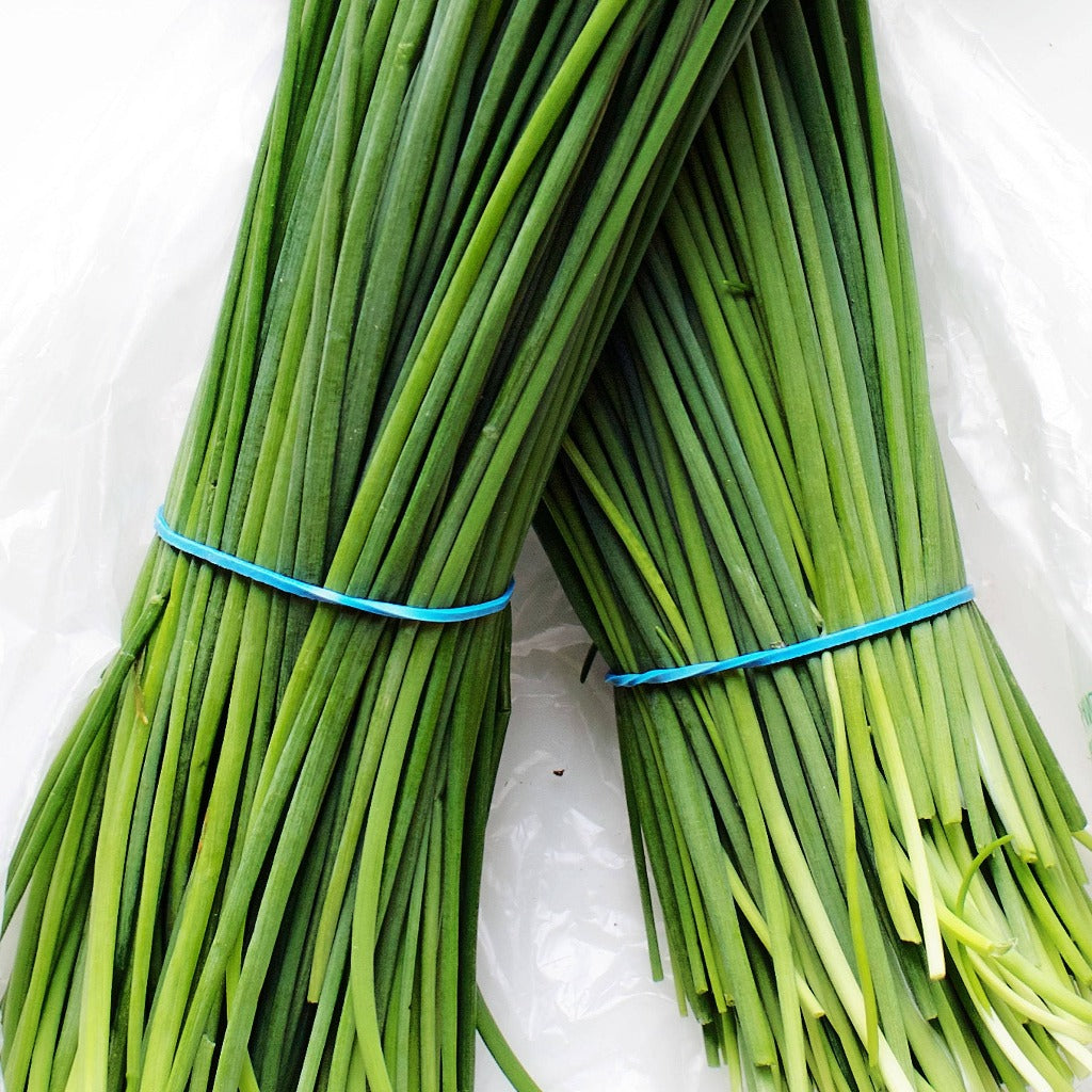 Chives • ثوم معمر - plantnmore