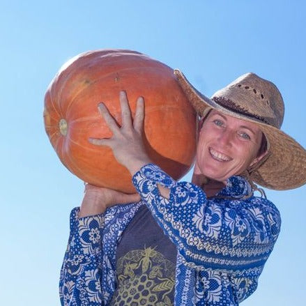 Pumpkin Big Max