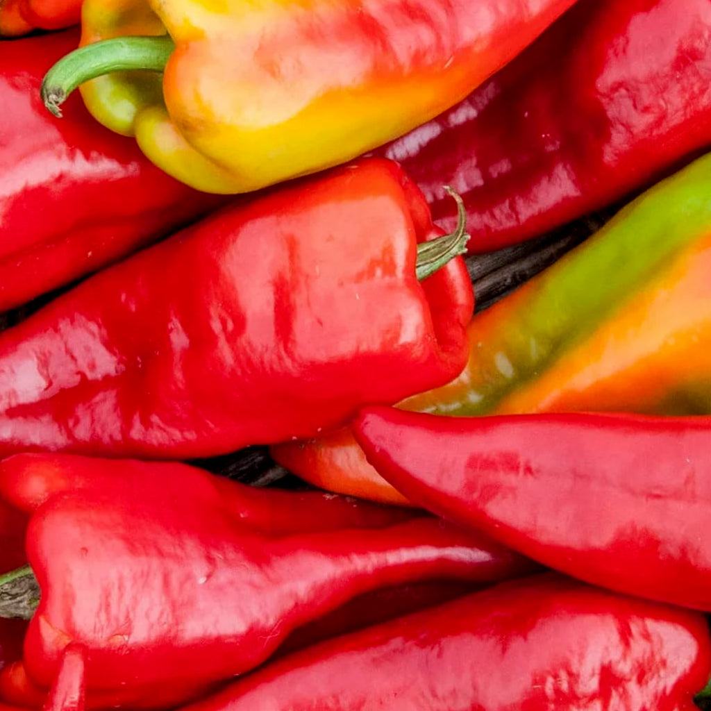 Big Jim Pepper • فلفل حار عملاق - plantnmore