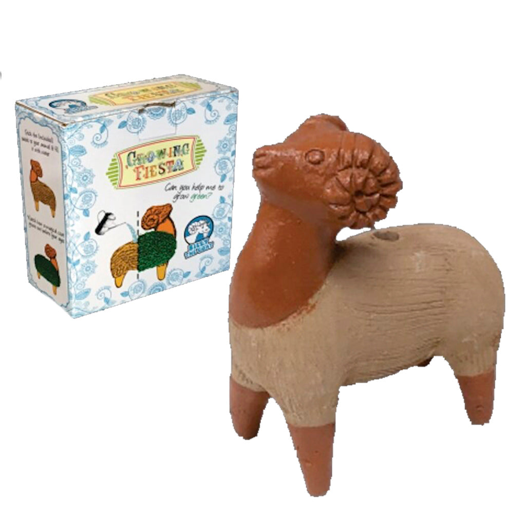 Growing Fiesta Clay Pot