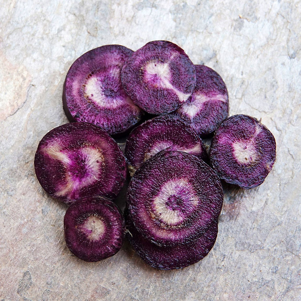 Carrot Black Nebula • جزر أسود - plantnmore