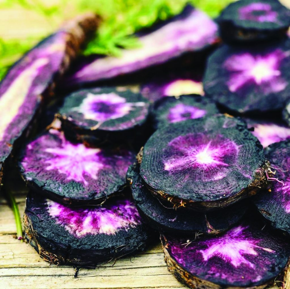 Carrot Black Nebula • جزر أسود - plantnmore