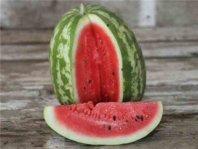 Watermelon Crimson Sweet (o) • بطيخ احمر سكري - plantnmore