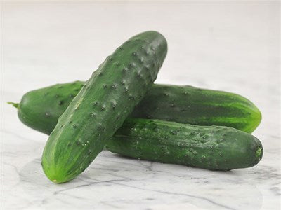 Cucumber Marketmore •خيار ماركت مور - plantnmore