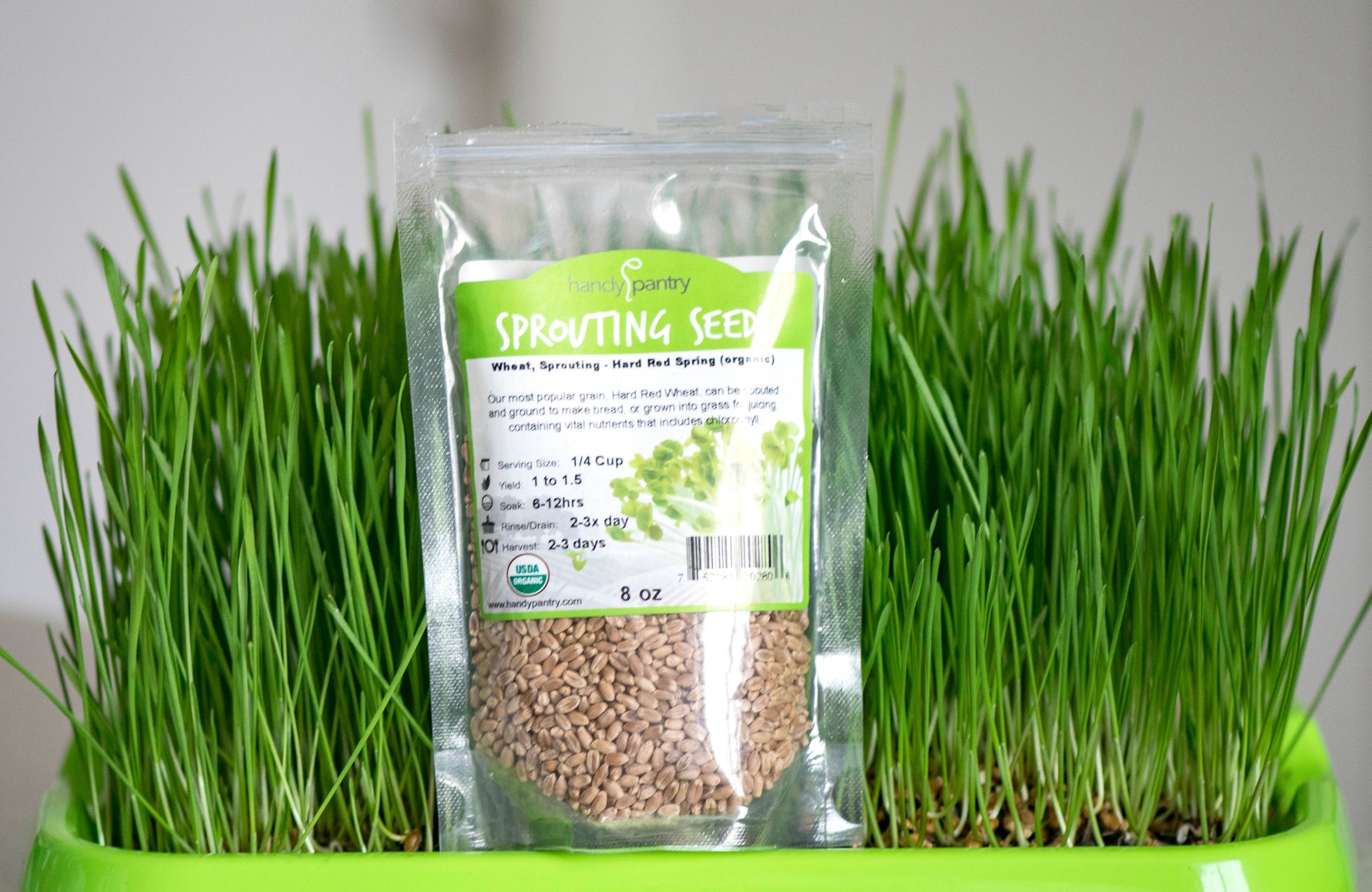 Seed Starting Microgreen Mix • خلطة زراعة البذور والميكروجرين - plantnmore