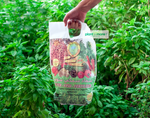Organic Granular Fish Fertilizer (for trees, palms, and vegetables) ● مغذي سمك و طحالب عضوي للاشجار و النخيل و الخضروات - plantnmore