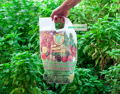 Organic Granular Fish Fertilizer (for trees, palms, and vegetables) ● مغذي سمك و طحالب عضوي للاشجار و النخيل و الخضروات - plantnmore