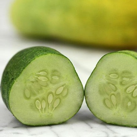 Double Yield Cucumber  • خيار دبل الحصاد - plantnmore