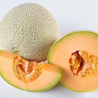 Hales Best Cantaloupe • شمام سكري - plantnmore