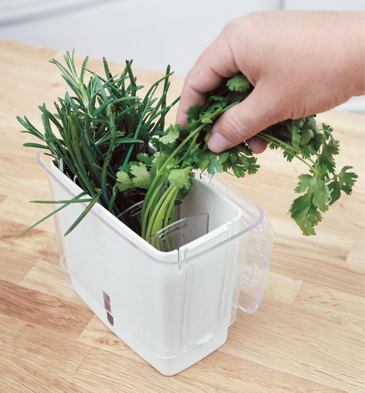 Herb Keeper • حافظة الأعشاب - plantnmore