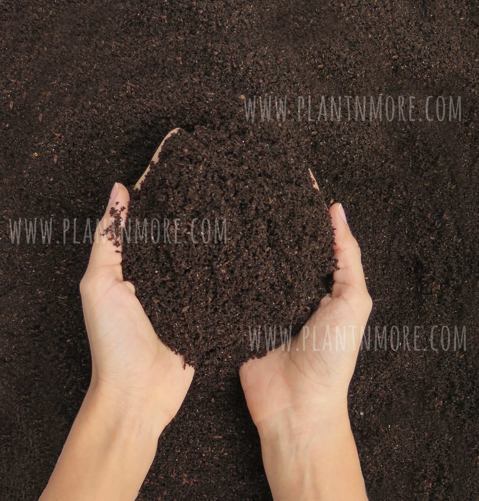Earthworm Castings 4L●  سماد دودة الأرض  ٤لتر - plantnmore
