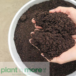 Earthworm Castings 4L●  سماد دودة الأرض  ٤لتر - plantnmore