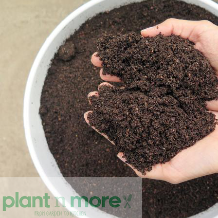 Earthworm Castings 4L●  سماد دودة الأرض  ٤لتر - plantnmore