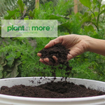 Earthworm Castings 17L●  سماد دودة الأرض١٧  لتر - plantnmore