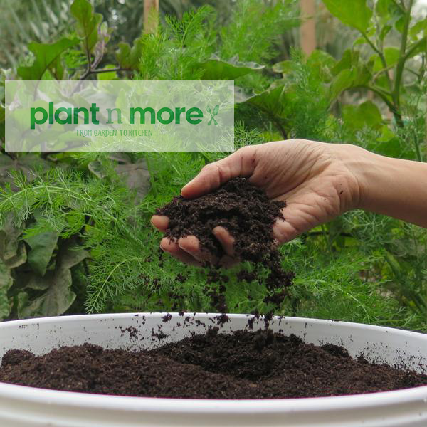 Earthworm Castings 17L●  سماد دودة الأرض١٧  لتر - plantnmore