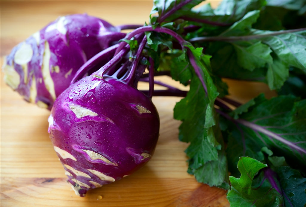 Kohlrabi Purple Vienna • (كولرابي (كرنب ساقي بنفسجي - plantnmore