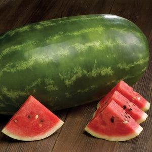 Watermelon Legacy