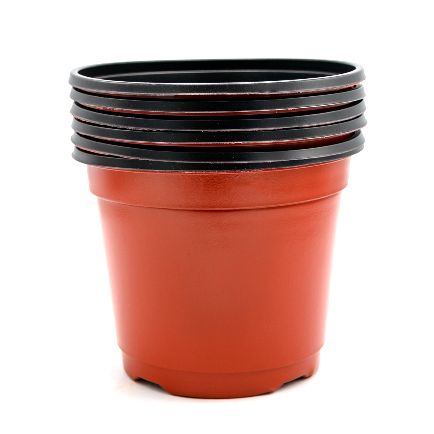 Transplanting Pot Large 6pc • احواض تشتيل كبيرة ٦حبات - plantnmore
