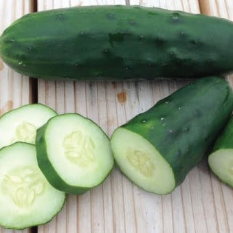 Cucumber Marketmore •خيار ماركت مور - plantnmore