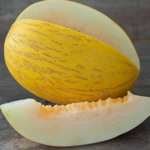Melon Canari Juane