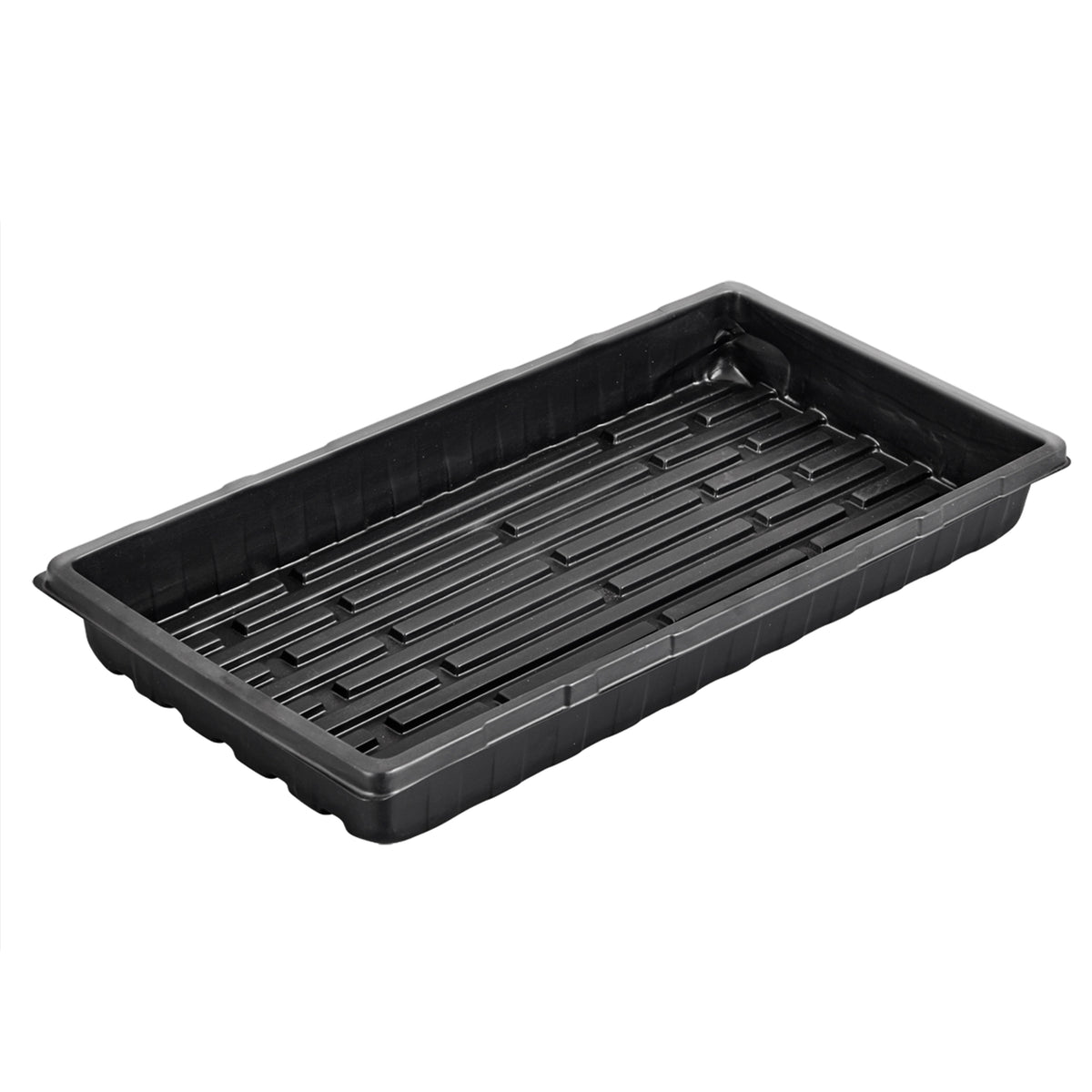 Large Sprouting Tray  ●  صينية زراعة الميكروجرين كبيرة - plantnmore