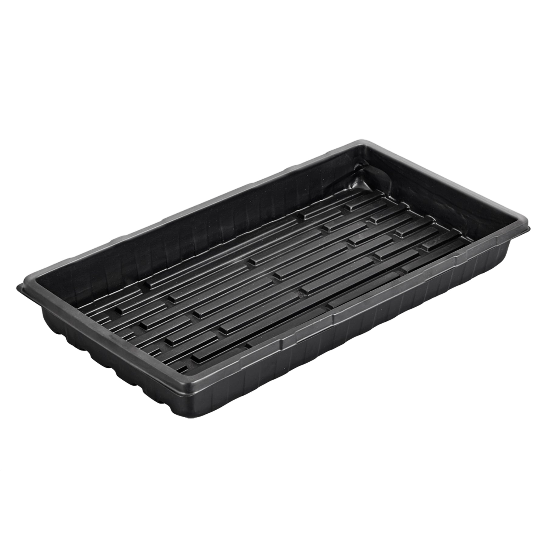 Large Sprouting Tray  ●  صينية زراعة الميكروجرين كبيرة - plantnmore