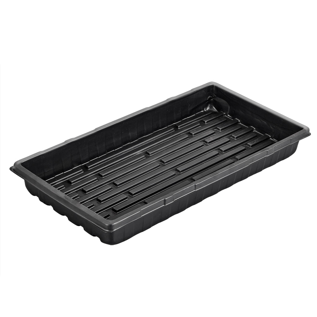 Large Sprouting Tray  ●  صينية زراعة الميكروجرين كبيرة - plantnmore