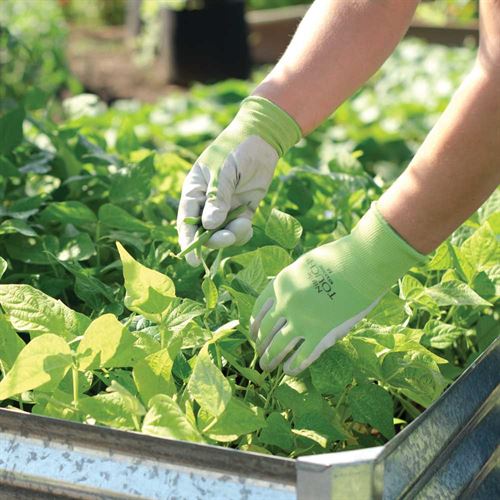 Medium Nitrile Touch Gloves • قفاز النايتريل الخفيف حجم متوسط - plantnmore