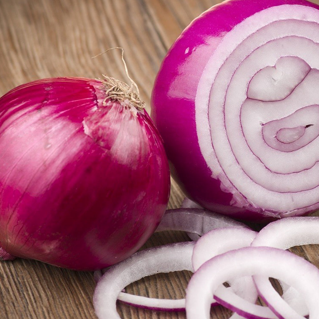 Onion Red Creole • بصل كريول - plantnmore
