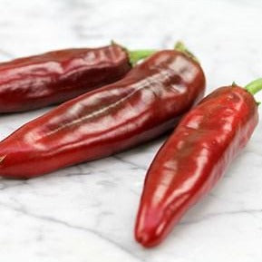 Anaheim Chili Pepper • فلفل اناهايم - plantnmore