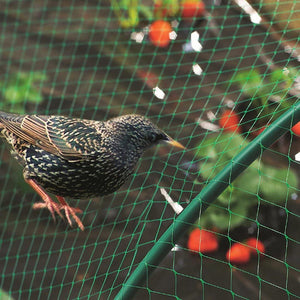 Bird Protection Net Medium