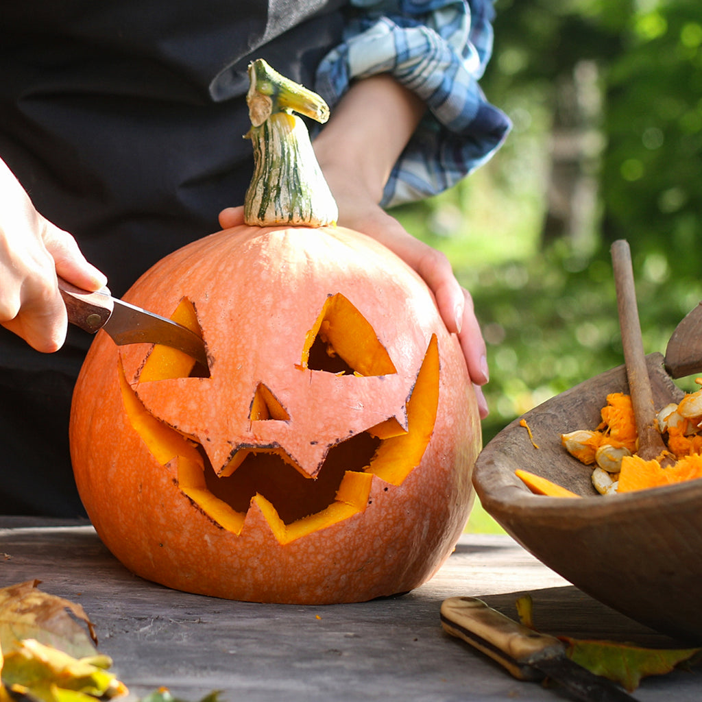 Pumpkin Jack O Lantern • قرع هالوين - plantnmore