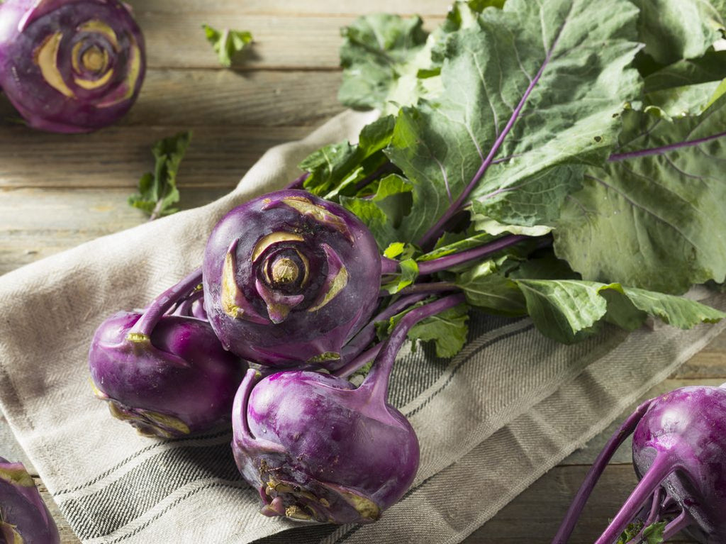 Kohlrabi Purple Vienna • (كولرابي (كرنب ساقي بنفسجي - plantnmore