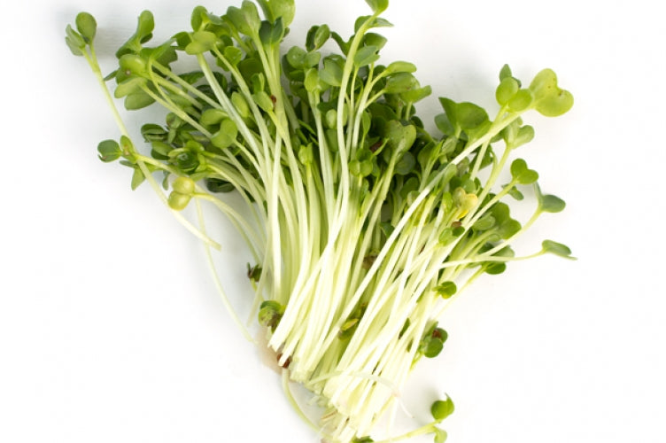 Radish 114g • فجل - plantnmore