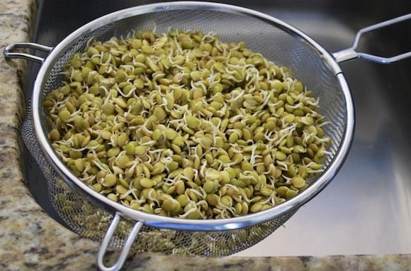 Green Lentils 114g • العدس الاخضر العضوي - plantnmore