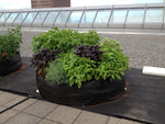 Fabric Raised Bed 100 gallon ● حوض ريزد بد ١٠٠ غالون - plantnmore