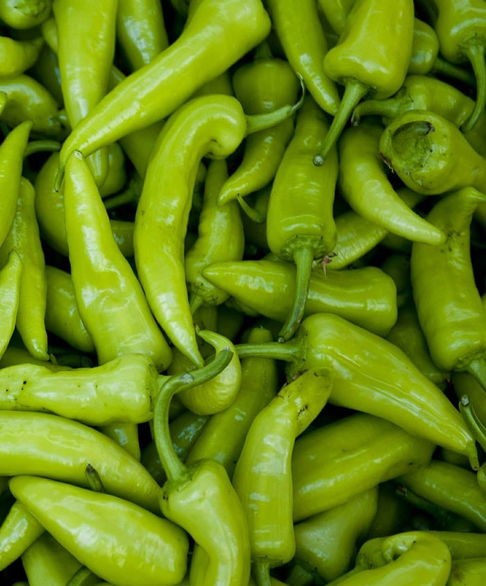 Anaheim Chili Pepper • فلفل اناهايم - plantnmore