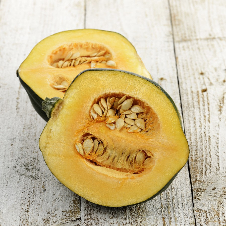 Pumpkin Table King Bush Acorn • قرع ملك المائدة البلوطي - plantnmore