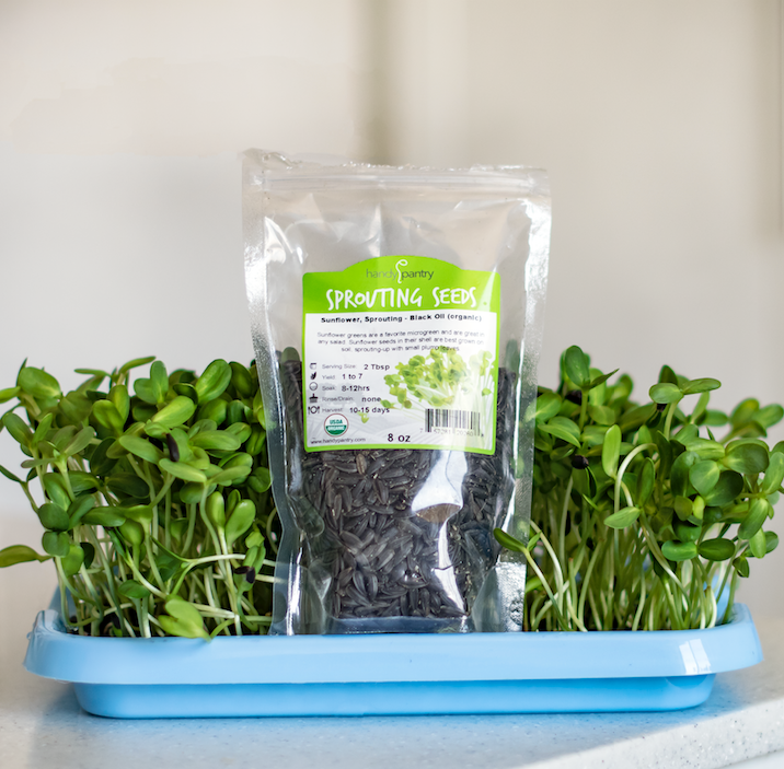 Sprouting Tray • صينية الإستنبات و الميكروجرين - plantnmore