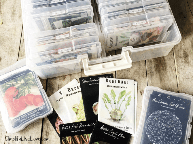 Seed Organizer Briefcase  • شنطة ترتيب البذور - plantnmore
