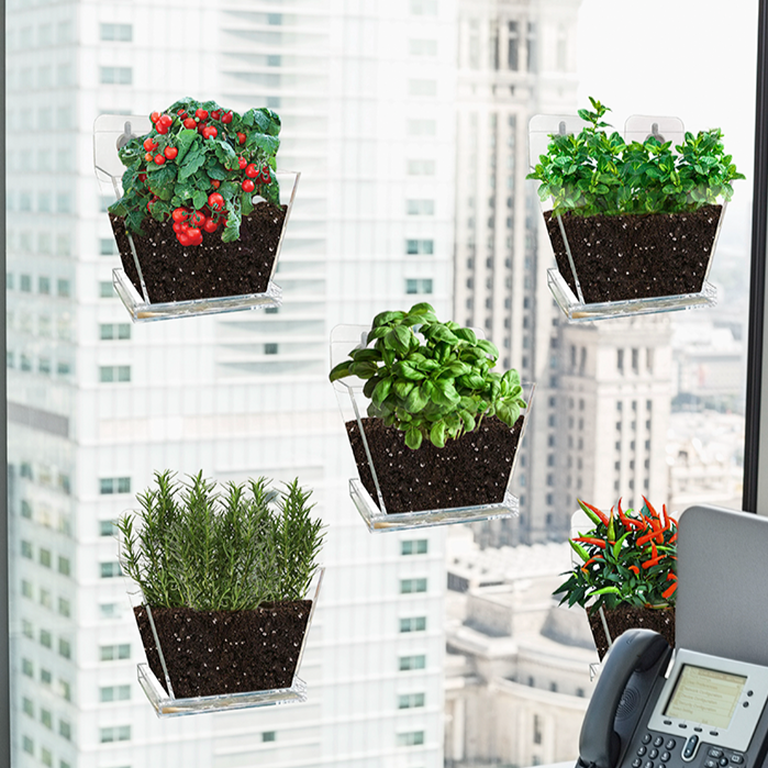 Window Garden Small •  حديقة النافذة الصغيرة - plantnmore